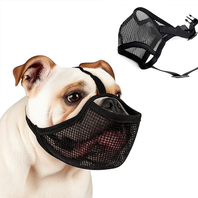 Short nose and mouthpiece K039