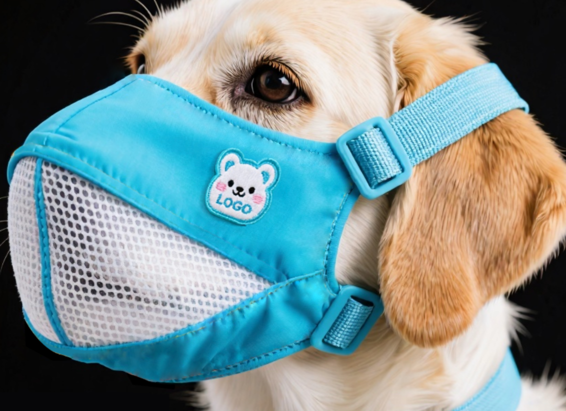 dog muzzle